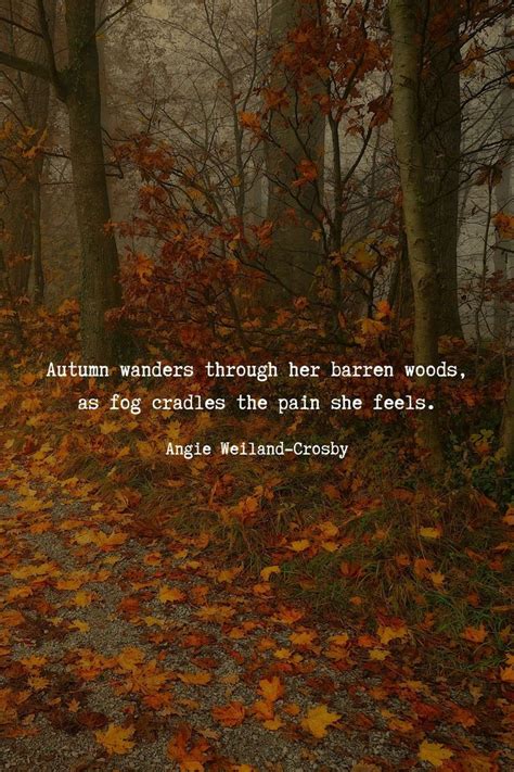 autumn vibes quotes|positive quotes about autumn.